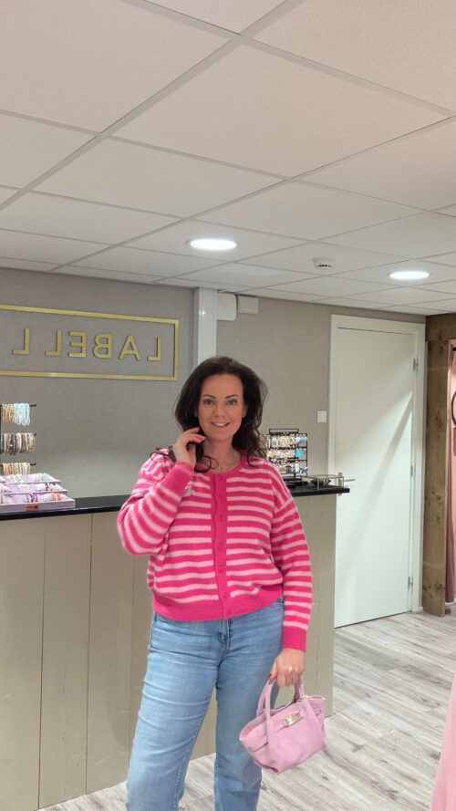 Vest Stripe fuchsia pink azzurro-truien en vesten Label-L